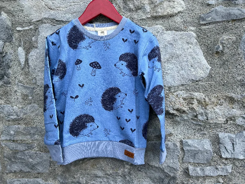 sweatshirts with twisted trim -Hedgehog blue sweatshirt   4y (104cm)