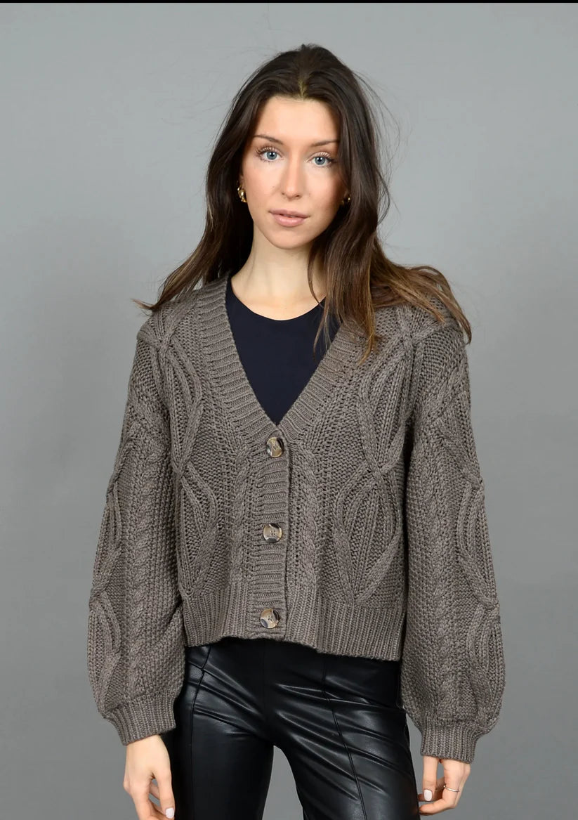 cardigan with sequin studs -Ignacia Long Sleeve V Neck Cardigan